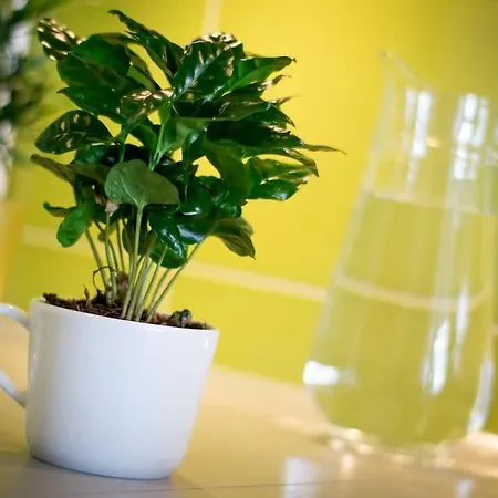 Apartamento Batorego